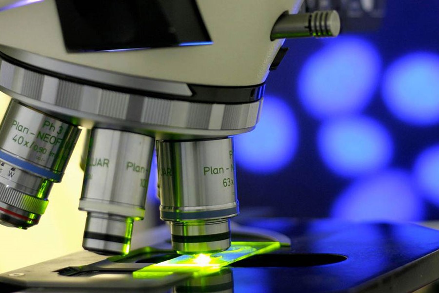 Protein Assay Design