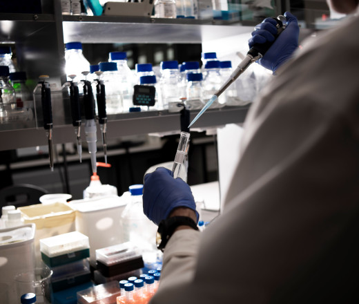Resized Bioprocess Optimisation and Scale up